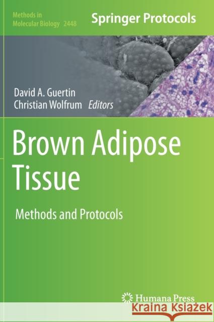 Brown Adipose Tissue  9781071620861 Springer US
