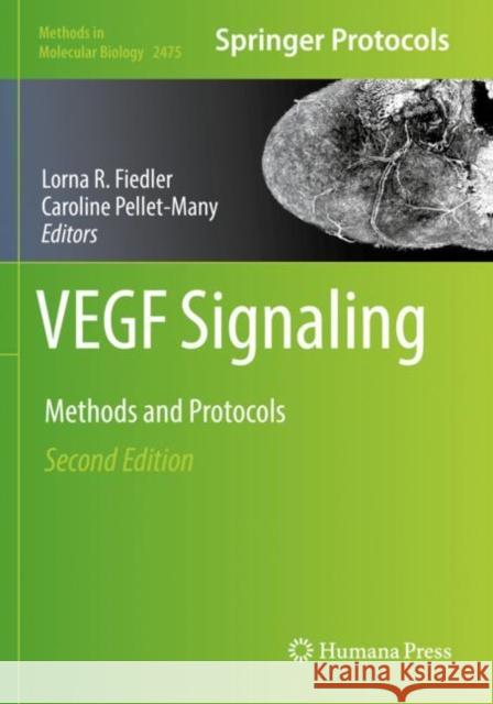 VEGF Signaling: Methods and Protocols Lorna R. Fiedler Caroline Pellet-Many 9781071622193 Humana