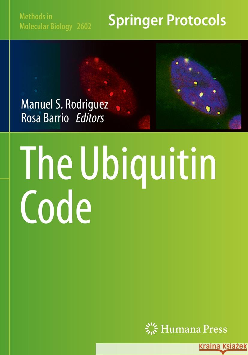 The Ubiquitin Code Manuel S. Rodriguez Rosa Barrio 9781071628614 Humana