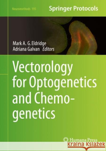 Vectorology for Optogenetics and Chemogenetics Mark Eldridge Adriana Galvan 9781071629178 Humana