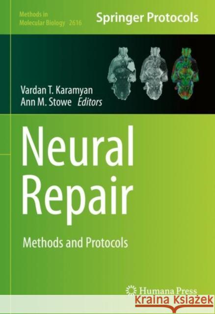 Neural Repair: Methods and Protocols Vardan T. Karamyan Ann M. Stowe 9781071629253 Humana