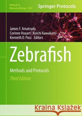 Zebrafish  9781071634004 Springer US