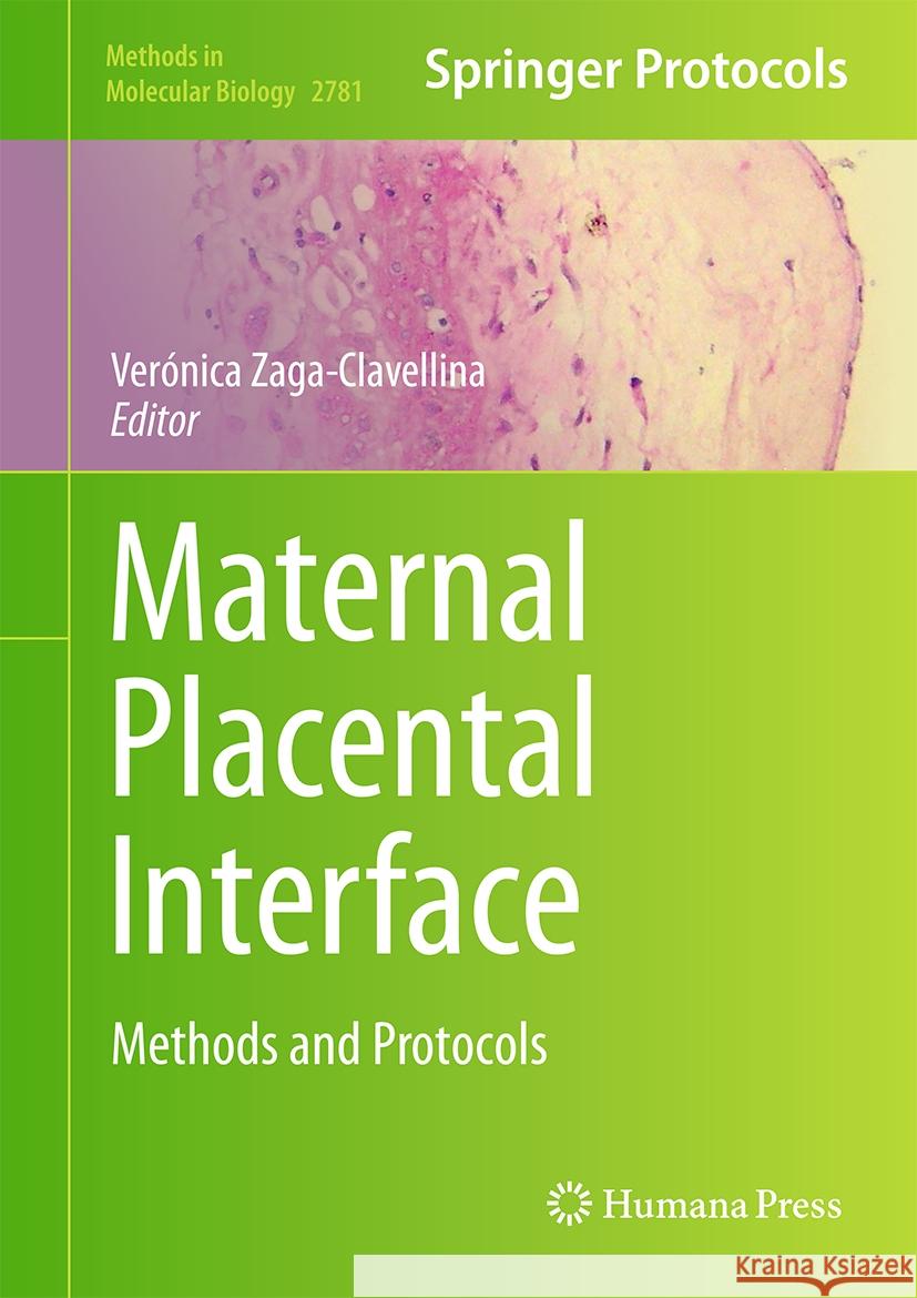 Maternal Placental Interface: Methods and Protocols Ver?nica Zaga-Clavellina 9781071637456 Humana