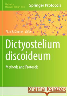 Dictyostelium Discoideum: Methods and Protocols Alan R. Kimmel 9781071638965 Humana