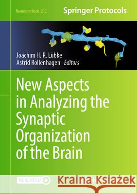 New Aspects in Analyzing the Synaptic Organization of the Brain Joachim L?bke Astrid Rollenhagen 9781071640180 Humana