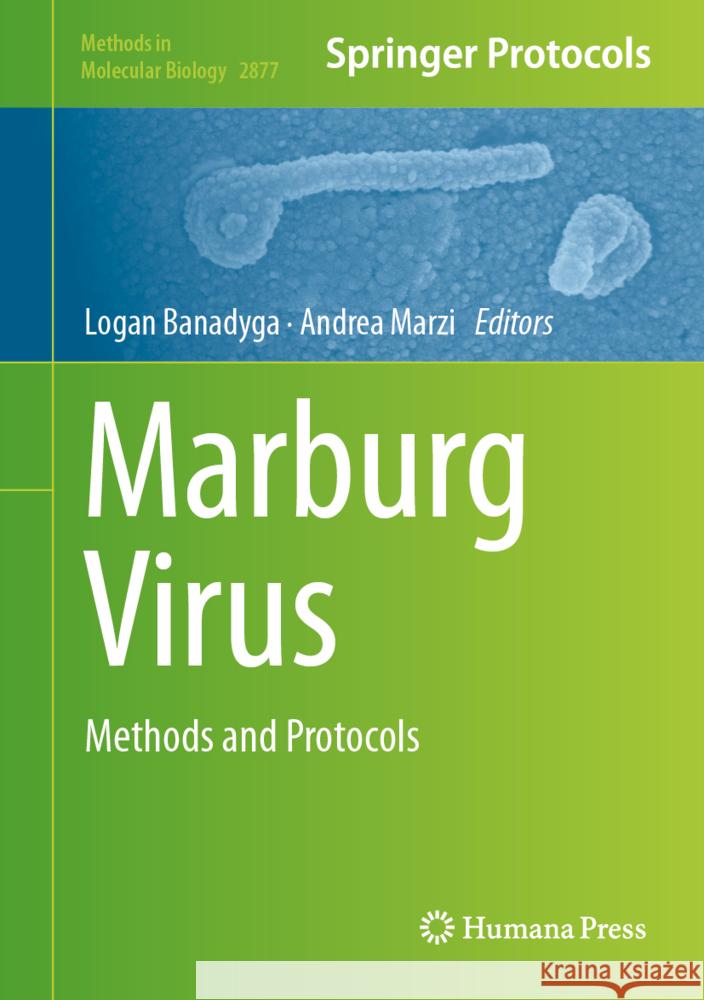 Marburg Virus: Methods and Protocols Logan Banadyga Andrea Marzi 9781071642559 Humana