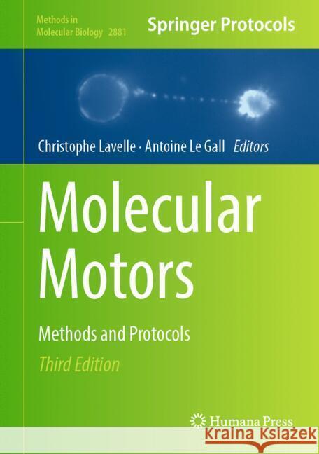 Molecular Motors: Methods and Protocols Christophe Lavelle Antoine L 9781071642795 Humana