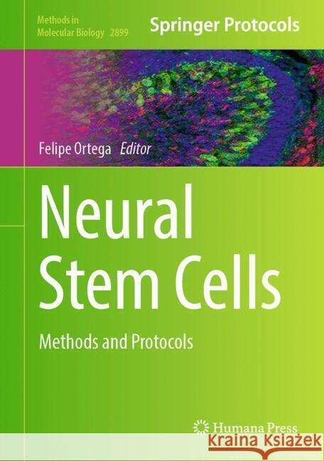 Neural Stem Cells: Methods and Protocols Felipe Ortega 9781071643853 Humana