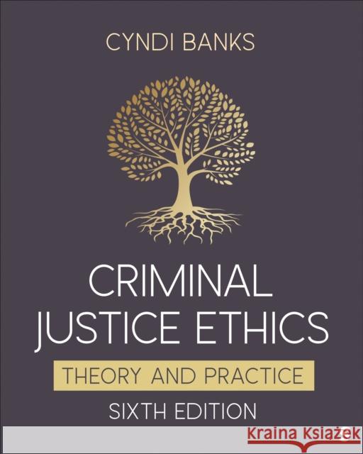 Criminal Justice Ethics: Theory and Practice Cyndi L. Banks 9781071875384