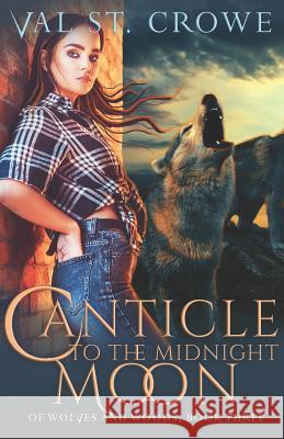 Canticle to the Midnight Moon Val S 9781072495314 Independently Published