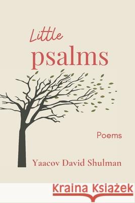 Little Psalms Yaacov David Shulman 9781073110421 Independently Published