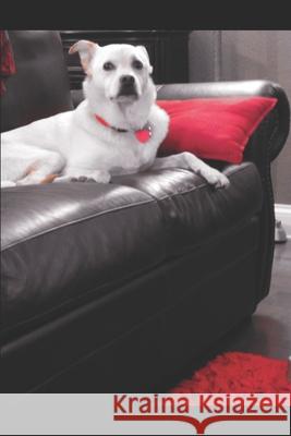 Teddy Knows: John and Katrica meets Zeus Jm Jones 9781073410194 Independently Published