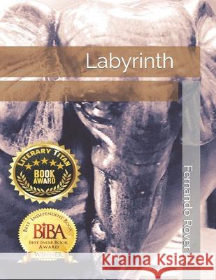 Labyrinth Fernando Rove 9781074628987 Independently Published