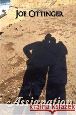 Assignation Joe Ottinger 9781074988111