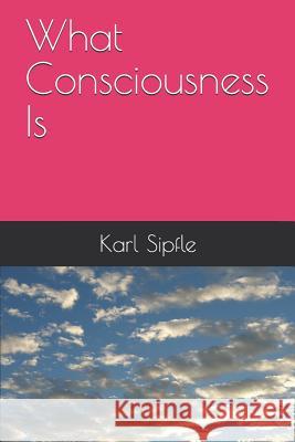 What Consciousness Is Karl Sipfle 9781075816604 Independently Published