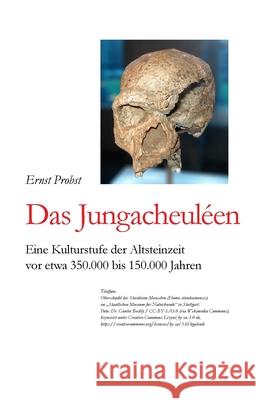 Das Jungacheuléen: Eine Kulturstufe der Altsteinzeit vor etwa 350.000 bis 150.000 Jahren Probst, Ernst 9781076587626