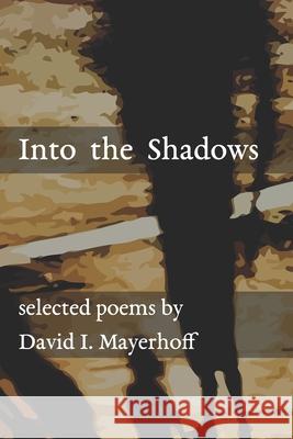 Into the Shadows David I. Mayerhoff 9781077983212 Independently Published