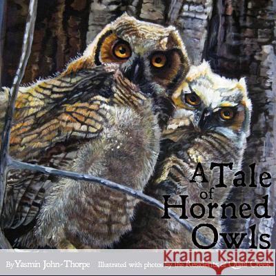 A Tale of Horned Owls Residents of Quai Yasmin John-Thorpe 9781080787852