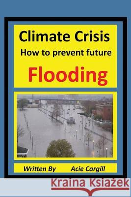 Climate Crisis: A Plan to Prevent Future Flooding Acie Cargill 9781080856022 Independently Published