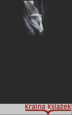 Or, A Light in the Dark: Else, A Cave D. P. Sharpe 9781081596019 Independently Published