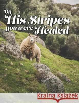 By His Stripes you were Healed Elizabeth George 9781082719332