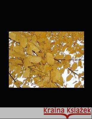 Zehn o Zaman: Dream interpretation, psychoanalysis and neuroscience Keramat Movallali 9781083073051 Independently Published