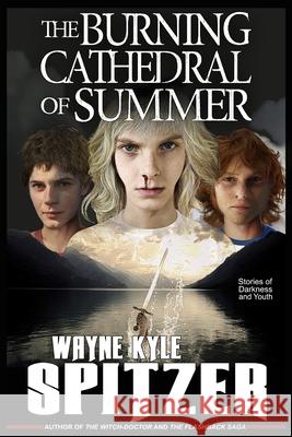 The Burning Cathedral of Summer: Stories of Darkness and Youth Wayne Kyle Spitzer 9781083134981 Independently Published