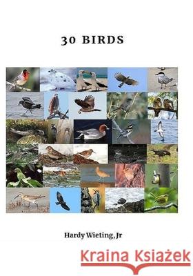30 Birds Hardy Wietin 9781087298139 Independently Published