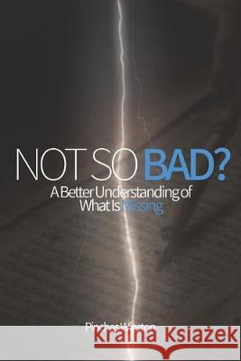 Not So Bad?: A Better Understanding of What Is Missing Pinchas Winston 9781087393384 Independently Published