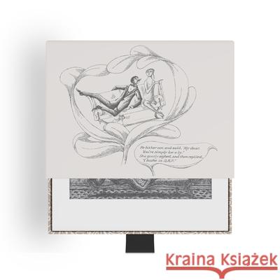 Edward Gorey: The Fraught Settee Slipcase Boxed Notecards Edward Gorey 9781087512501