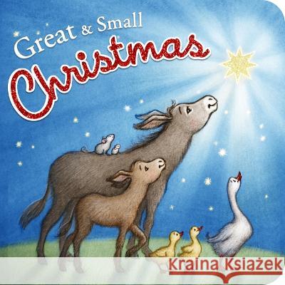 Great and Small Christmas B&h Kids Editorial                       Anna Abramskaya 9781087784434 B&H Publishing Group