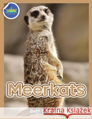 Meerkat Activity Workbook for Kids ages 4-8 Beth Costanzo 9781087873749 Indy Pub