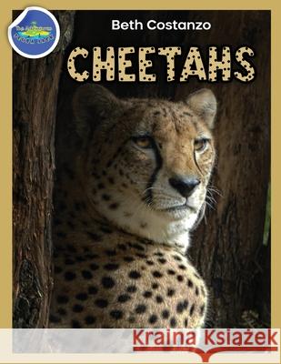 Cheetah Activity Workbook ages 4-8 Beth Costanzo 9781087873978