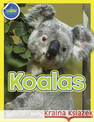 Koala Activity Workbook ages 4-8 Beth Costanzo 9781087874043 Indy Pub