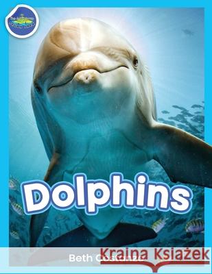 Dolphins! Beth Costanzo 9781087900056 Adventures of Scuba Jack