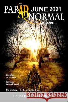 ParABnormal Magazine June 2021 H. David Blalock 9781087968841 Hiraethsff