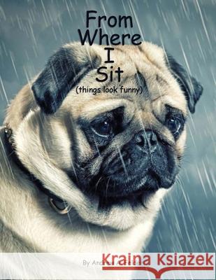 From Where I Sit (things look funny) Andrew A. Felder 9781087970523