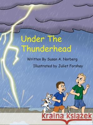 Under the Thunderhead Susan a. Norberg Juliet Forshay 9781087975016