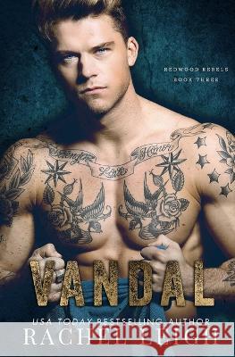 Vandal: A Dark Bully Romance Rachel Leigh   9781088145555 IngramSpark