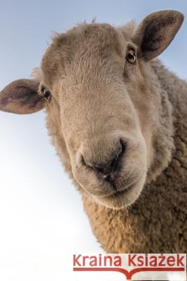 Sheep: Domestic Sheep Are Quadrupedal, Ruminant Mammals Typically Kept as Livestock. Like Most Ruminants, Sheep Are Members o Planners and Journals 9781090231277 Independently Published