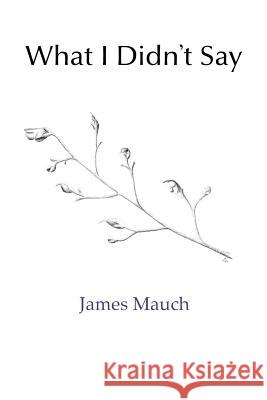 What I Didn't Say James Mauch 9781090350954
