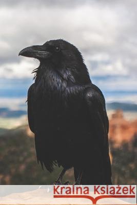 Call of the Crow: A Witch's Grimoire Pagan Essentials 9781090766502 Independently Published