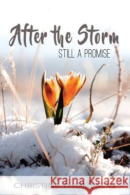 After the Storm: Still a Promise Christine Thompson 9781091054820