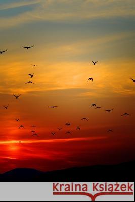 Sunset Flight: Beautiful Planners and Journals 9781091161009 Independently Published