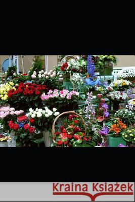 El Cementerio de Violines Victoria Roch 9781091161245