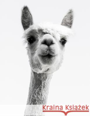 Knitting Graph Paper 2: 3 & 4:5 Ratio 8.5 X 11: Llama Photograph Happens, Knit 9781091472136 Independently Published