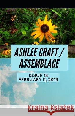 Issue 14 (Ashlee Craft / Assemblage) Ashlee Craft Ashlee Craft Ashlee Craft 9781091500303 Independently Published