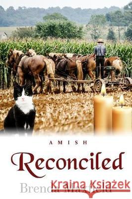 Reconciled Brenda Maxfield 9781092251303 Independently Published