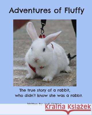 Adventures of Fluffy: The true story of a rabbit, who didn't know she was a rabbit. Jodi Scarpa 9781092760553