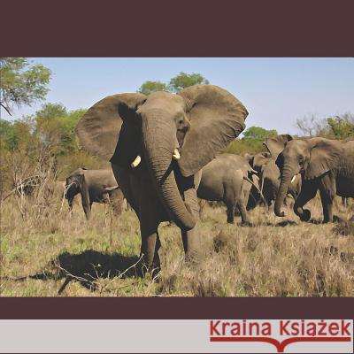 The Elephants of Africa: An Array of Paintings Gary Lee Kvamme 9781092954495 Independently Published